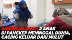 Cacingan Akut, 2 Anak di Pangkep Meninggal Dunia, Cacing Keluar dari Mulut <