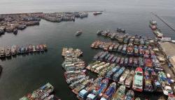 Cuaca Buruk, Ratusan Kapal Ikan Bersandar di Pelabuhan Nizam Zachman