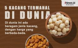 Infografis 5 Kacang Termahal di Dunia