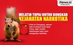 Infografis Polisi China Latih Tupai untuk Bongkar Kejahatan Narkotika