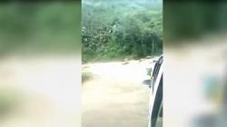 Viral Video Air Bah Terjang Ruas Jalan Provinsi di Madina, Pengendara Tak Berani Melintas