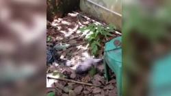 Sumenep Geger, Bayi Baru Lahir Ditemukan Tergeletak di Samping Toilet Puskesmas