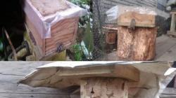 2 Remaja di Tabalong Curi Sarang Madu Kelulut, 1 Serahkan Diri ke Polisi Diantar Orang Tua <