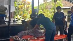 Diserang Anjing Peliharaan, Perempuan di Bali Tewas Diduga Terpapar Rabies