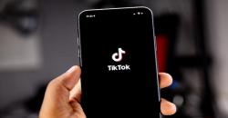 3 Cara Download Video TikTok yang Diprivasi, Bisa Tanpa Aplikasi