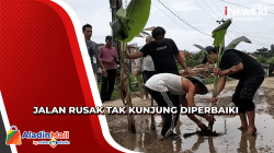 Aksi Protes Warga Desa Pranggong Indramayu Tanam Pohon di Tengah Jalan<