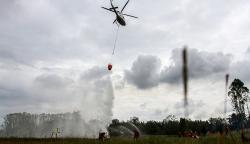 Kebakaran Hutan di Rohil-Bengkalis, BPBD Riau Kerahkan Helikopter Water Bombing