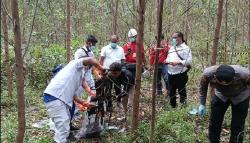 Tanjab Barat Geger, Tulang Manusia Ditemukan di Perkebunan Tanaman Akasia