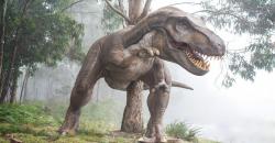 Dinosaurus Non-burung Dipercaya Punya Syrinx, Dapat Keluarkan Suara Kicauan