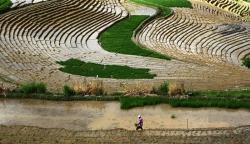 Potensi Wisata Terasering di Kabupaten Enrekang Sulsel