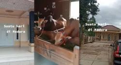 Kampung Unik di Madura, Sapi Harga Miliaran Kandangnya Rumah Mewah, seperti Apa Dalamnya?