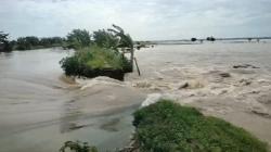 Tanggul Sungai Jebol, Ratusan Hektare Sawah di Bojonegoro Terendam Banjir