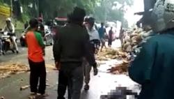 Tertimpa Batang Pohon di Bogor, Pemotor Terluka