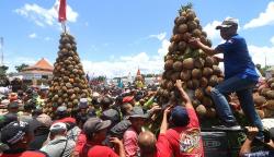 Sedekah Bumi, Ribuan Durian Jadi Rebutan Warga Lereng Gunung Kelud