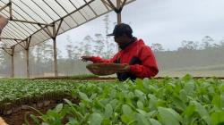 Pria asal Lembang KBB yang Sempat Terpuruk karena Narkoba Sukses Bertani