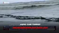 Aspal Cair Tumpah, Ancam Ekosistem dan Biota Laut 