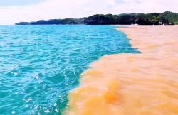 Air Laut Pantai Baron Berubah Jadi 2 Warna, Ternyata Ini Penyebabnya
