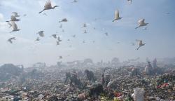 Produksi Sampah di Kota Medan 2.000 Ton per Hari