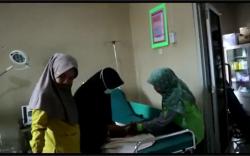 Dibuang Seperti Sampah, Bayi Perempuan Ditemukan Dalam Kardus di Kebun Sawit 