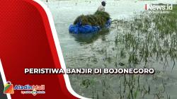 Ratusan Hektare Sawah di Bojonegoro Terendam Banjir Luapan Sungai Bengawan Solo