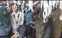 Ekspor Serat Daun Nanas Prabumulih Terkendala SDM dan Mesin, Berikut Jawaban Kementan <