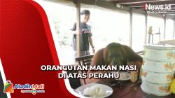 Viral! Kelompok Band Dikejar Orangutan di Kumai saat Syuting Video Klip