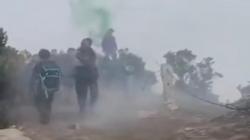 Viral Pendaki Gunung Gede Pangrango Nyalakan Bom Asap, Ini Respons TNGP Cianjur<