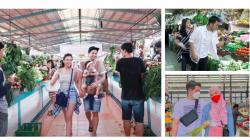 Disebut Suami Idaman, 5 Artis Ganteng Tak Malu Temani Istrinya Belanja di Pasar