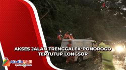 Hujan Deras Akses Jalan Trenggalek-Ponorogo Tertutup Longsor, 2 Mobil Tertimpa Pohon