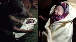 Palimanan Cirebon Geger, Warga Temukan Bayi Perempuan Baru Lahir di Tepi Jalan<