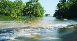 Kampung Unik di Batam, Singgah ke Desa yang Dikelilingi Hutan Bakau, Bisa Lihat Singapura