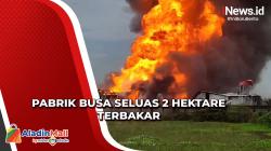 Pabrik Busa Seluas 2 Hektare Terbakar, Petugas Damkar Wilayah Cirebon Kesulitan Padamkan Api<