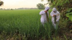 Ritual Mapag Tamba di Indramayu, Upacara Sakral Tolak Bala Pertanian