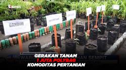 Pemkot Makassar Canangkan Gerakan Tanam Satu Juta Polybag Komoditas Pertanuian #iNewsPagi 28/02