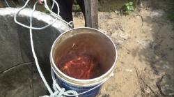 Viral Sumur di Tuban Berair Merah, Diserbu Warga karena Diyakini Sembuhkan Penyakit