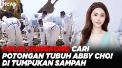 Pakai Ekskavator, Polisi Hongkong Cari Potongan Tubuh Abby Choi di Tumpukan Sampah 
