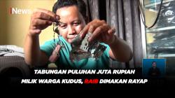 Tabungan Puluhan Juta Rupiah Milik Warga Kudus, Raib Dimakan Rayap