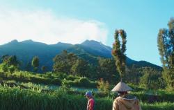 Dalam Sepekan Gunung Merapi Luncurkan 2 Kali Guguran Lava Pijar Sejauh 1.000 Meter