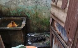 Kloset Meledak Lukai Lansia di Klender, Polisi : Septic Tank Tak Miliki Sirkulasi Udara