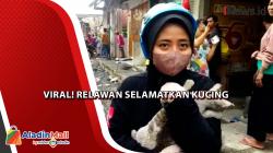 Relawan Berhasil Selamatkan Kucing dari Reruntuhan Kebakaran Depo Pertamina Plumpang