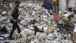 Anjing Pelacak Dikerahkan Cari Korban Kebakaran Depo Pertamina Plumpang