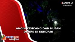 Nahas! Warga Tewas di Kendari akibat Pohon Tumbang Timpa Rumah