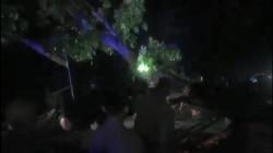 Rumah Tertimpa Pohon Tumbang, Wanita 58 Tahun di Kendari Tewas, Suami Selamat