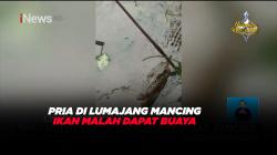 Pria di Lumajang Niat Mancing Ikan Dapat Buaya