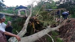 Angin Puting Beliung Sapu Desa Pasirhalang KBB, Belasan Rumah dan Masjid Rusak<