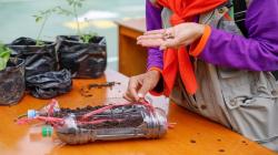 Emak-Emak Bojong Gede Bogor Dukung Program Berdikari untuk Ketahanan Pangan