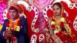 Waduh, Mempelai Pria Tewas karena Musik Hajatan Terlalu Kencang