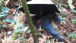 Geger Temuan Kerangka Perempuan di Gunung Halimun Salak, Lokasinya Bukan di Jalur Pendakian