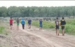 Viral Kawanan Gajah Keluar Hutan di OKI, BKSDA Berikan Penjelasan <