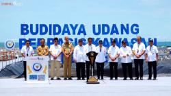 Jokowi Resmikan Tambak Budi Daya Udang Berbasis Kawasan di Kebumen